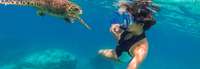 snorkeling-seychelles