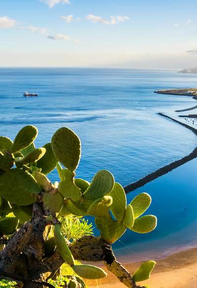Yacht sailing holidays & skippered tours in Canary Islands